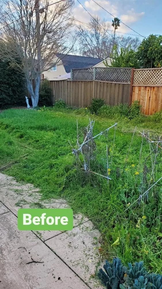 Custom landscape installation for residential properties in West Menlo Park, CA by Gio’s Junk Removal and Demolition