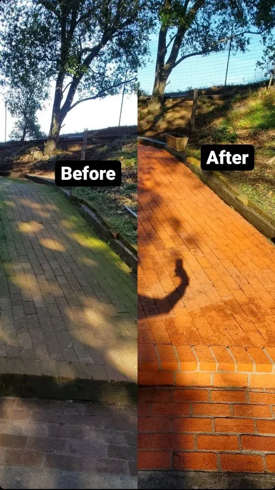 Top-rated lawn care service near you across West Menlo Park, CA - Gio’s Junk Removal and Demolition