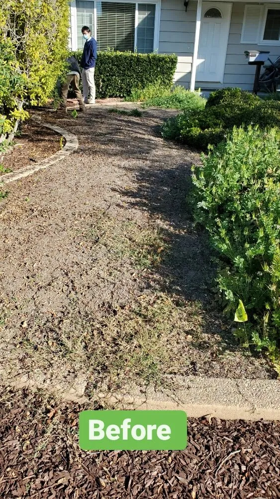 Local residential landscaping for year-round maintenance across West Menlo Park, CA - Gio’s Junk Removal and Demolition