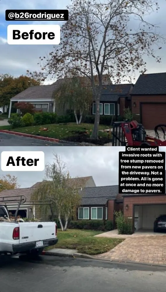 Top-rated landscaping services for residential properties across West Menlo Park, CA - Gio’s Junk Removal and Demolition