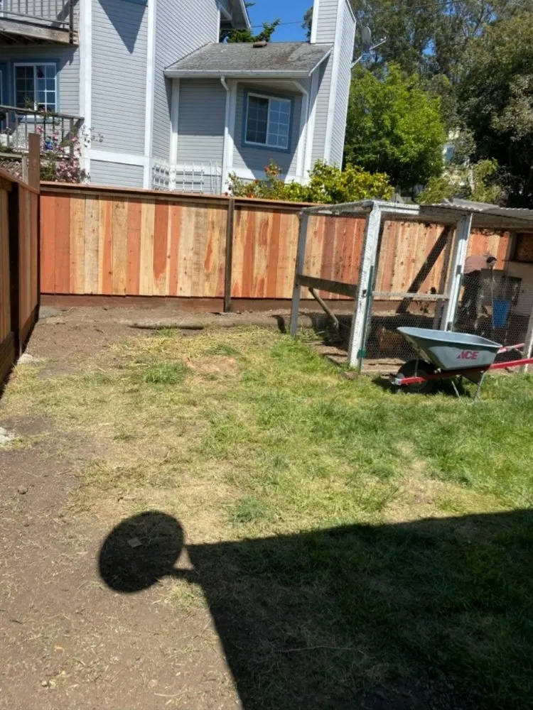 Reliable lawn mowing service in West Menlo Park, CA - Gio’s Junk Removal and Demolition