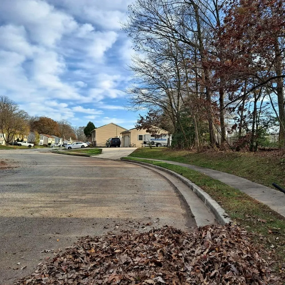 Expert yard maintenance for outdoor upgrades across Conowingo, MD - GIOS Landscaping