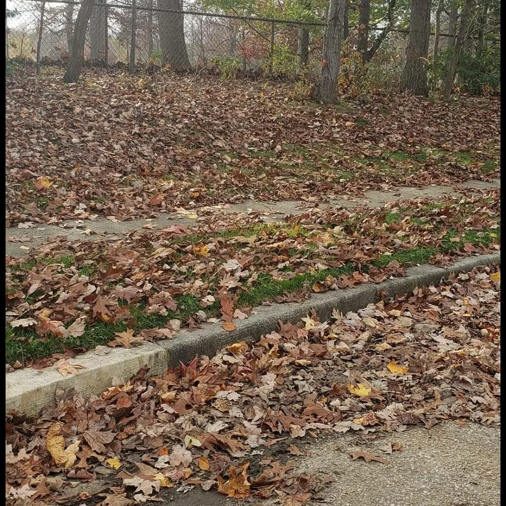 Professional garden landscaping experts serving Conowingo, MD - GIOS Landscaping