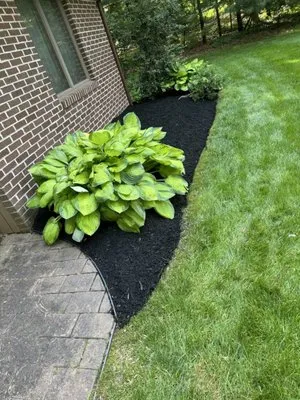 GIOS Landscaping Logo