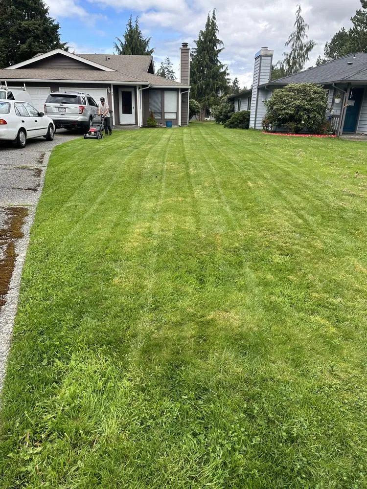 Affordable residential landscaping experts serving Everett, WA - Gio’s Landscaping