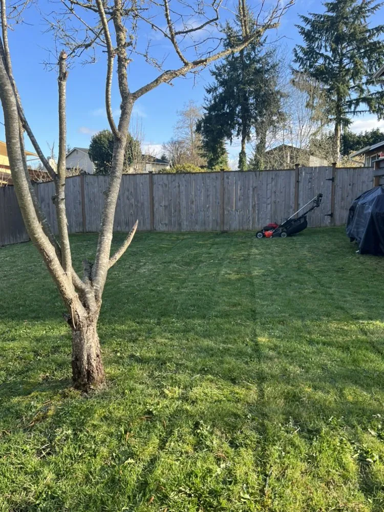 Expert landscape installation experts serving Everett, WA - Gio’s Landscaping