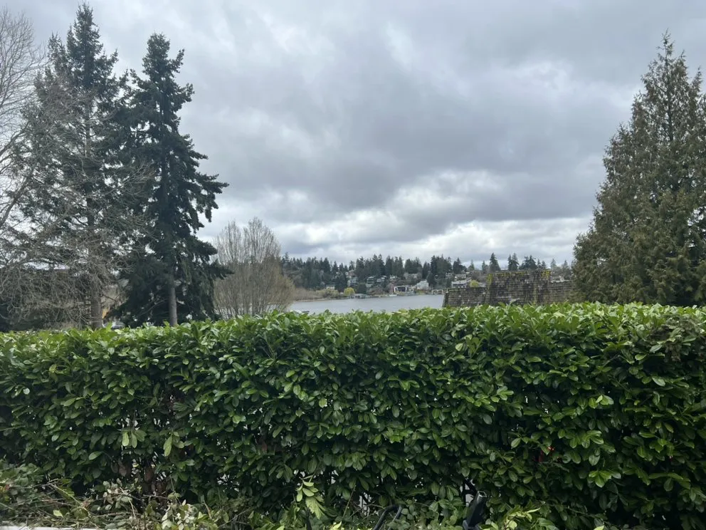 Professional yard cleanup service for outdoor upgrades across Everett, WA - Gio’s Landscaping