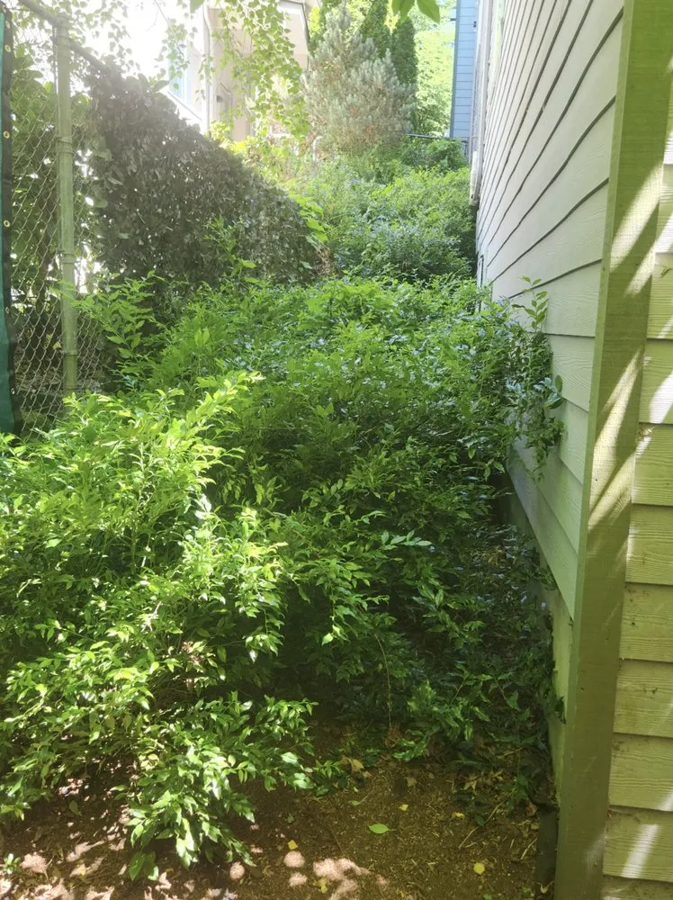 Local lawn mowing service experts serving Everett, WA - Gio’s Landscaping