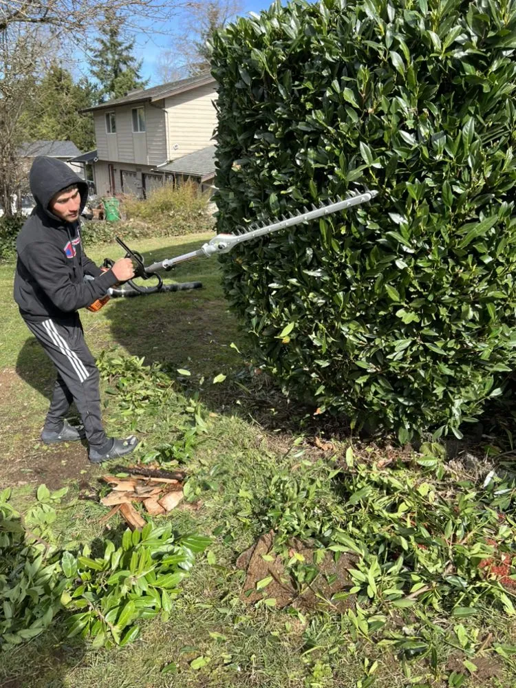 Custom yard cleanup service for residential properties across Everett, WA - Gio’s Landscaping