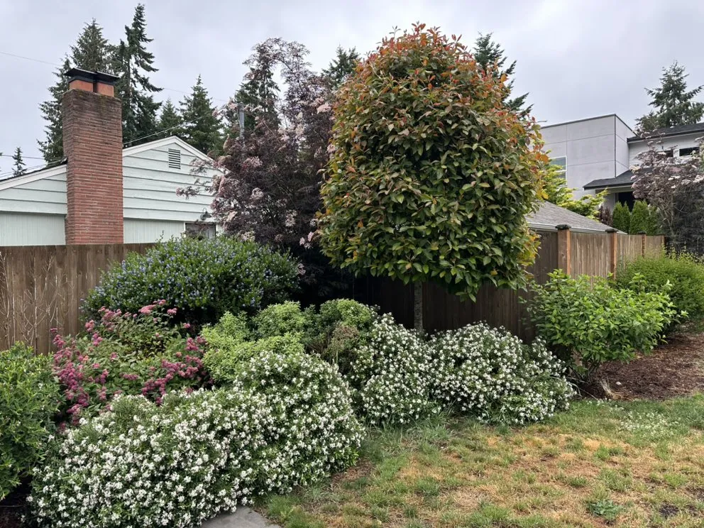 Professional residential landscaping for year-round maintenance across Everett, WA - Gio’s Landscaping