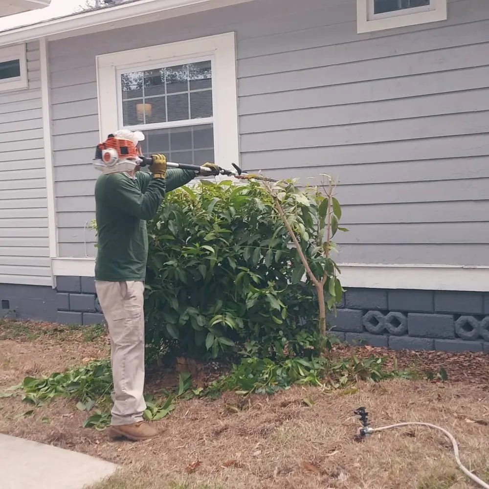 Custom landscaping services for year-round maintenance across Dunedin, FL - Gio's Multitask Lawn & Landscaping