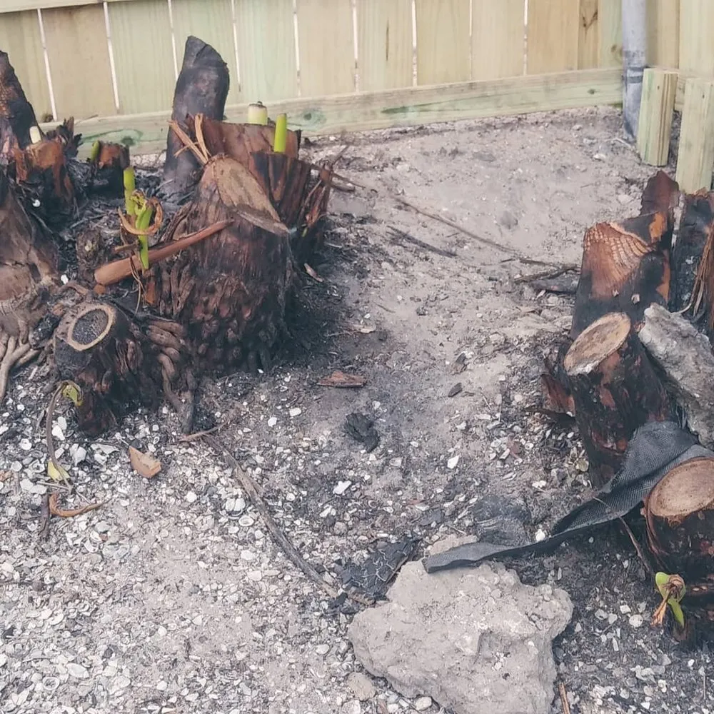 Local outdoor landscaping in Dunedin, FL by Gio's Multitask Lawn & Landscaping