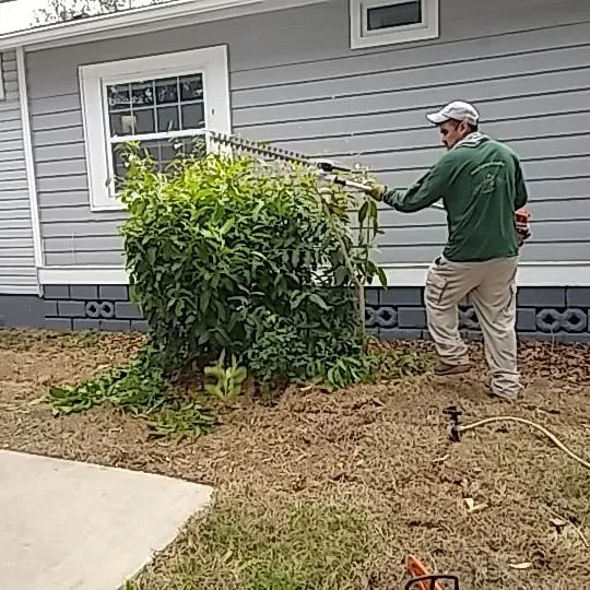 Local landscape installation in Dunedin, FL by Gio's Multitask Lawn & Landscaping