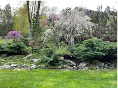 Expert lawn care service near you in Red Hook, NY by Gios Property Maintenance