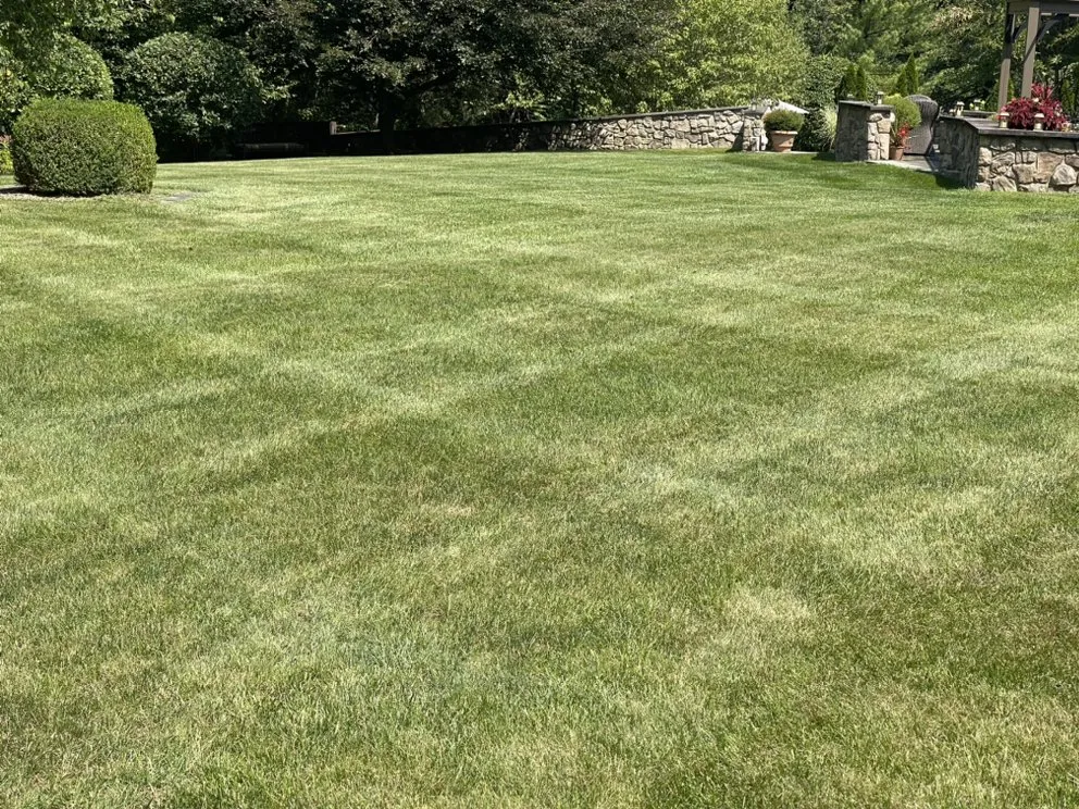 Top-rated yard cleanup service experts serving Red Hook, NY - Gios Property Maintenance