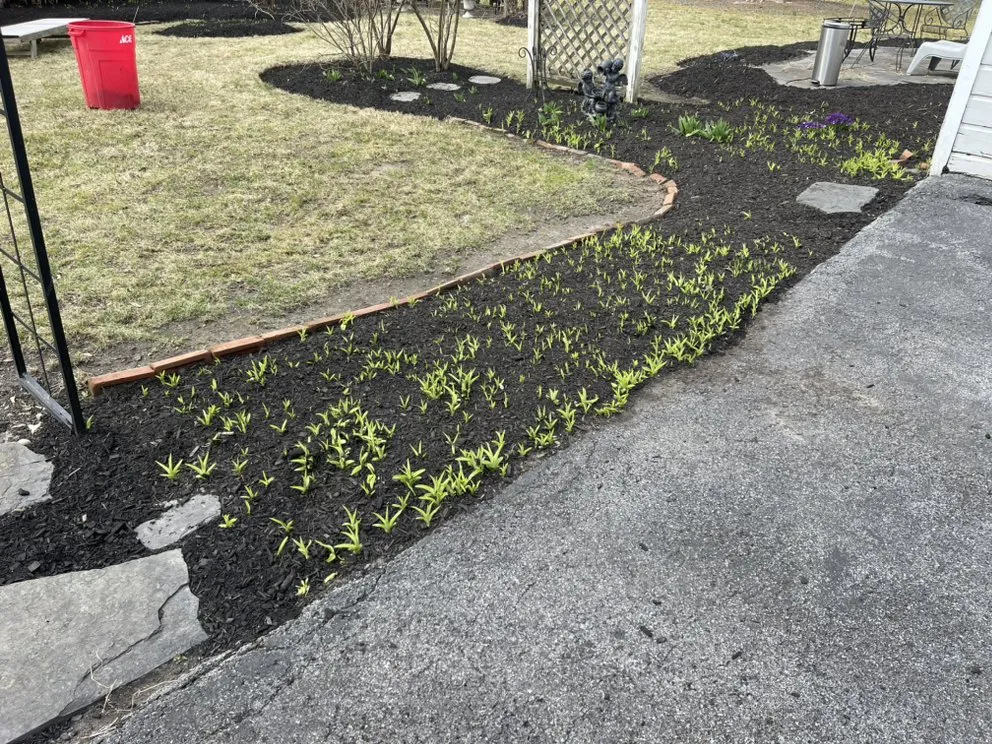 Reliable lawn mowing service with custom design across Red Hook, NY - Gios Property Maintenance