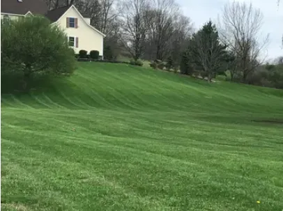 Professional landscape design experts serving Red Hook, NY - Gios Property Maintenance