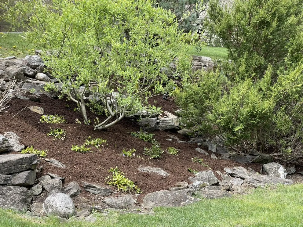 Trusted lawn mowing service near you across Red Hook, NY - Gios Property Maintenance