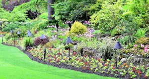 Trusted lawn care service in Harvey Cedars, NJ by Giottini Design & Landscaping Services