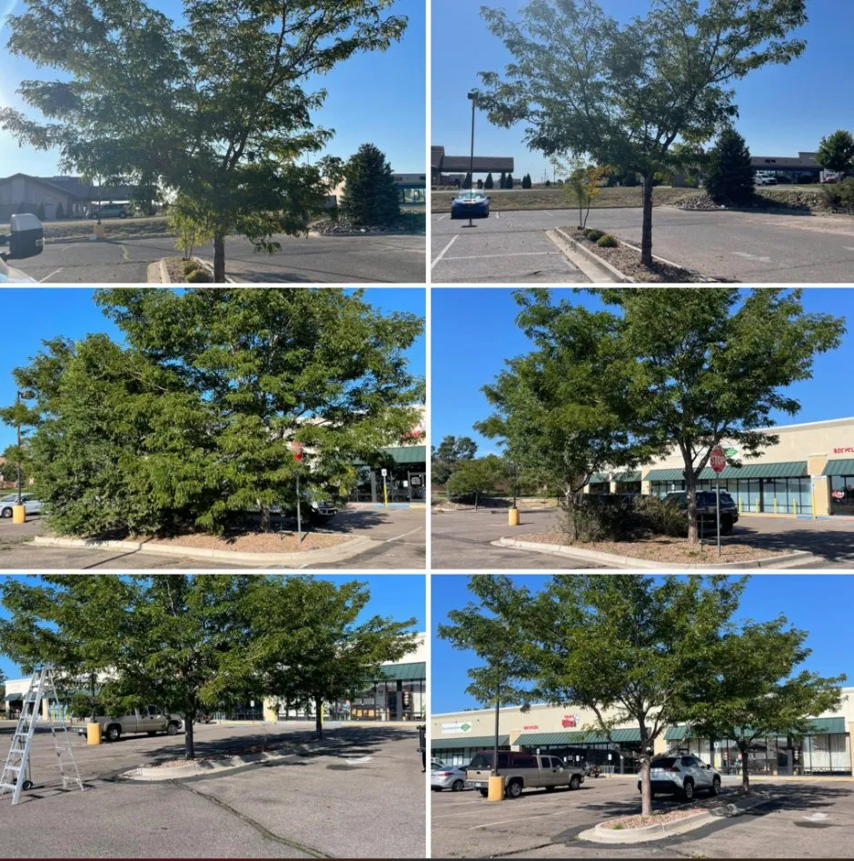 Expert landscape installation with custom design in Pueblo, CO by Giovanni's Landscaping & Skid Work