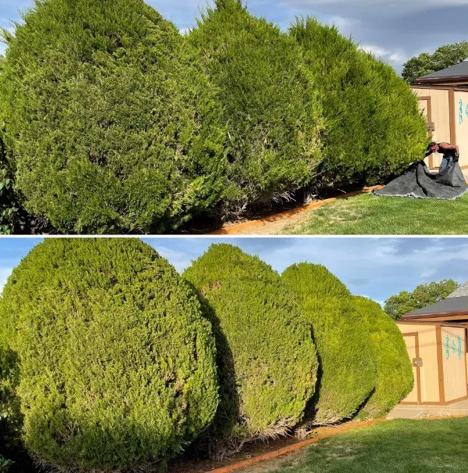 Local landscape design in Pueblo, CO by Giovanni's Landscaping & Skid Work