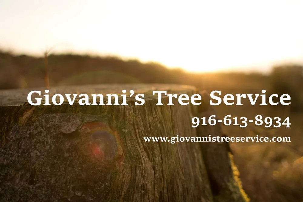Top-rated landscape design in Sacramento, CA by Giovanni's Tree Service
