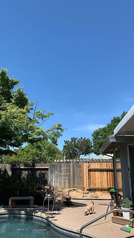 Top-rated yard maintenance in Sacramento, CA by Giovanni's Tree Service