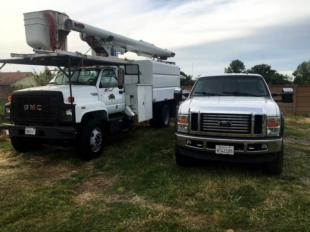 Custom garden landscaping in Sacramento, CA - Giovanni's Tree Service