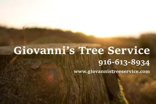Giovanni's Tree Service Logo