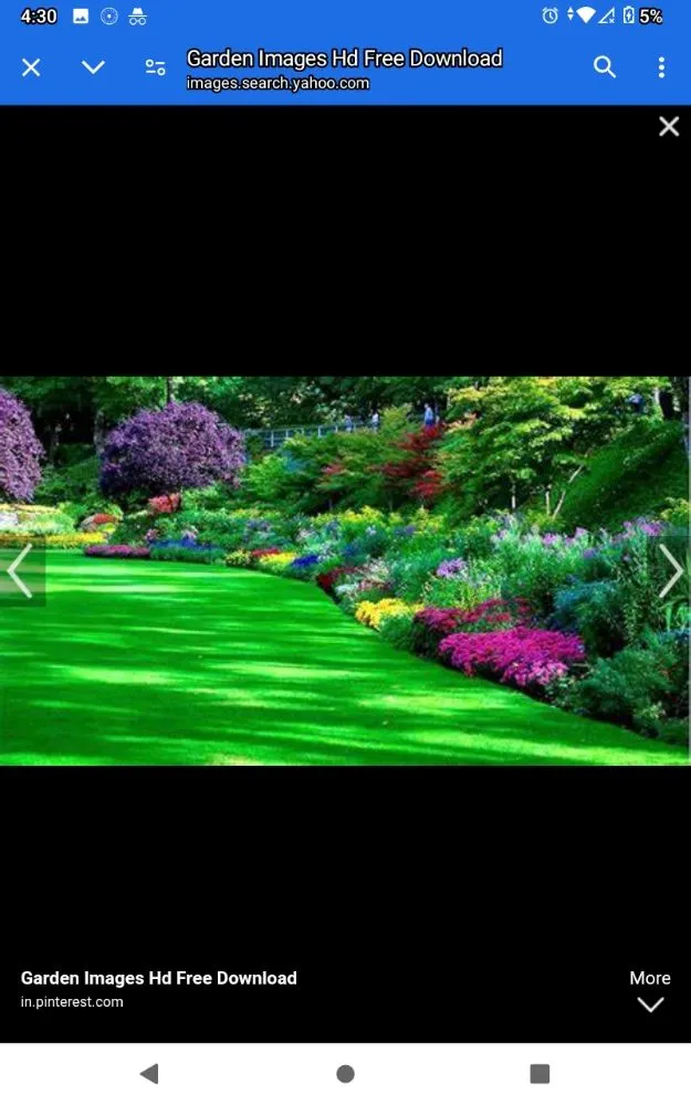 Affordable landscape installation in Statesville, NC - Giovanniss