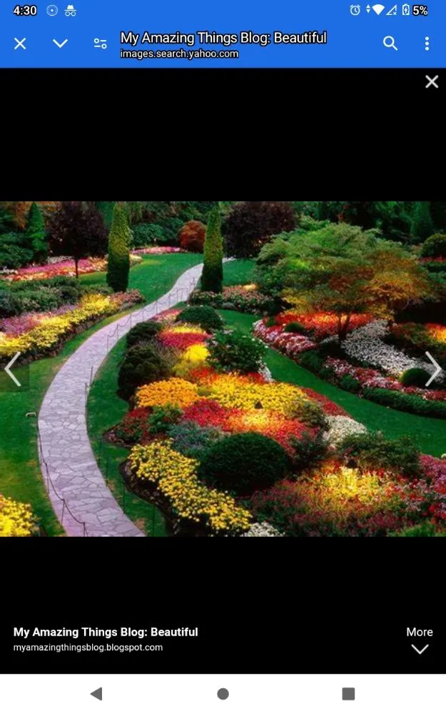 Trusted garden landscaping experts serving Statesville, NC - Giovanniss