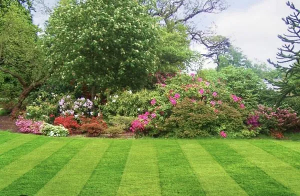 Gipsy Yard and Lawn Logo