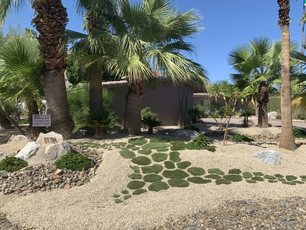 Top-rated outdoor landscaping for residential properties across Palm Springs, CA - Giraffe Grass