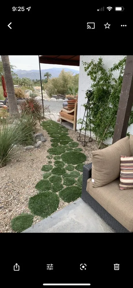 Professional yard cleanup service in Palm Springs, CA by Giraffe Grass