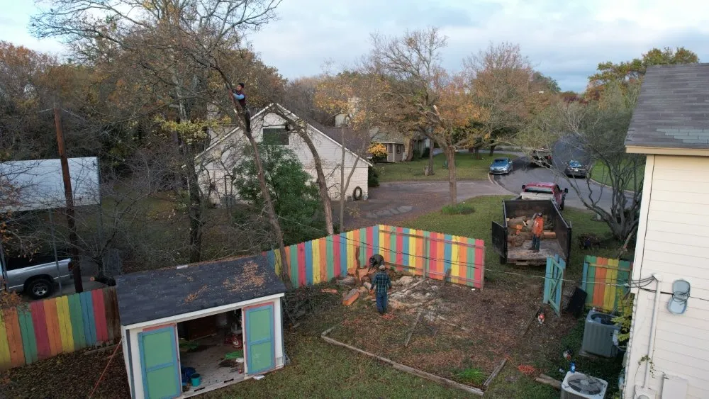 Reliable residential landscaping in Round Rock, TX by Giraffe Tree & Landscaping Services