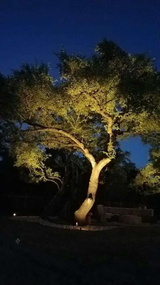 Expert yard cleanup service for residential properties in Round Rock, TX by Giraffe Tree & Landscaping Services