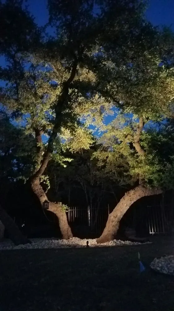 Reliable landscape design for year-round maintenance across Round Rock, TX - Giraffe Tree & Landscaping Services