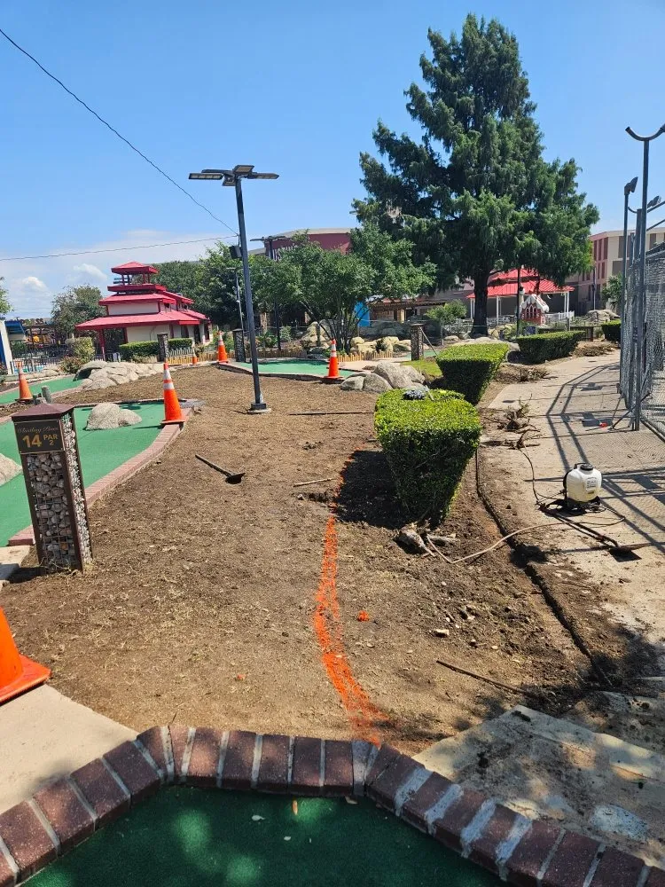 Custom residential landscaping for outdoor upgrades across Round Rock, TX - Giraffe Tree & Landscaping Services