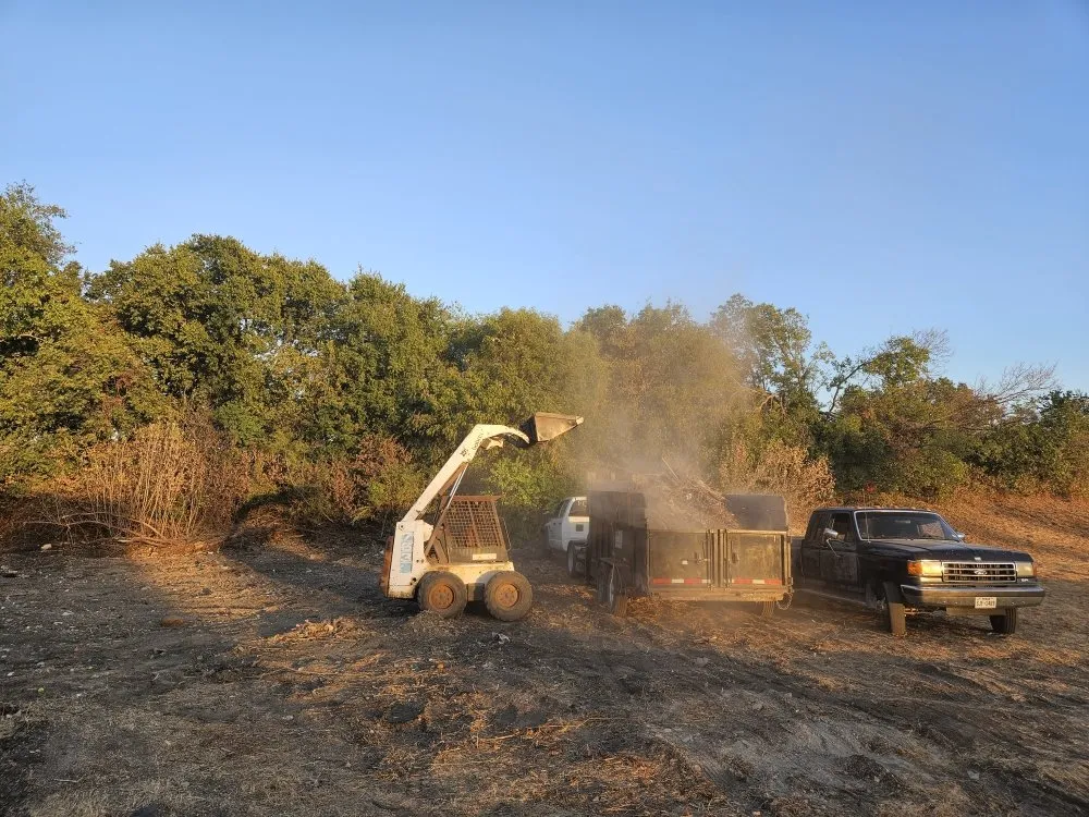 Expert landscaping services for residential properties across Round Rock, TX - Giraffe Tree & Landscaping Services