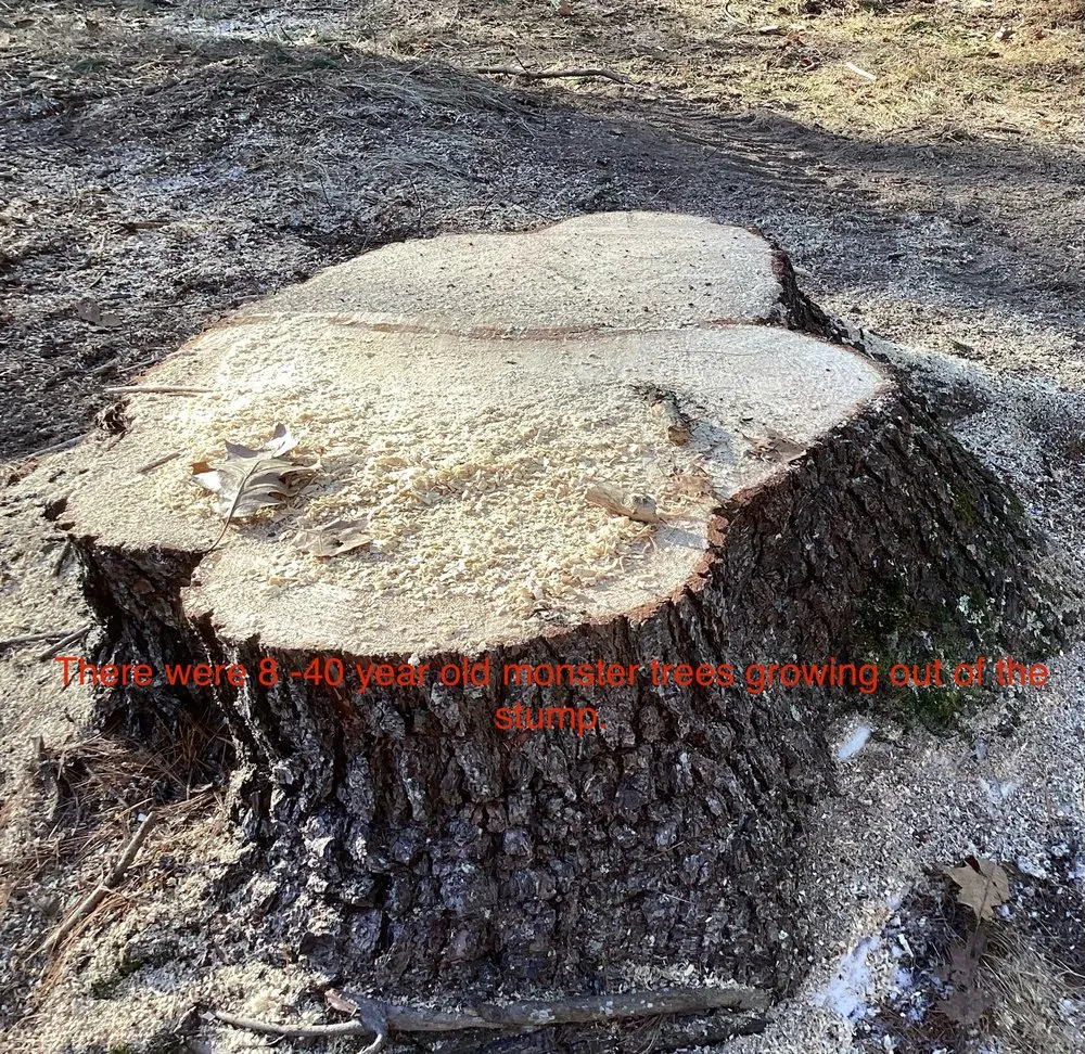 Custom outdoor landscaping in Hollis Center, ME - Girard Yard Services