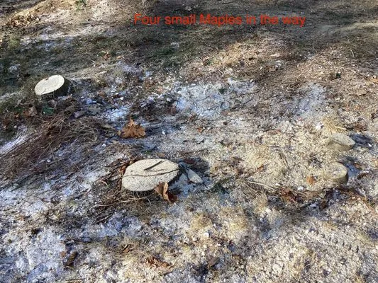 Girard Yard Services