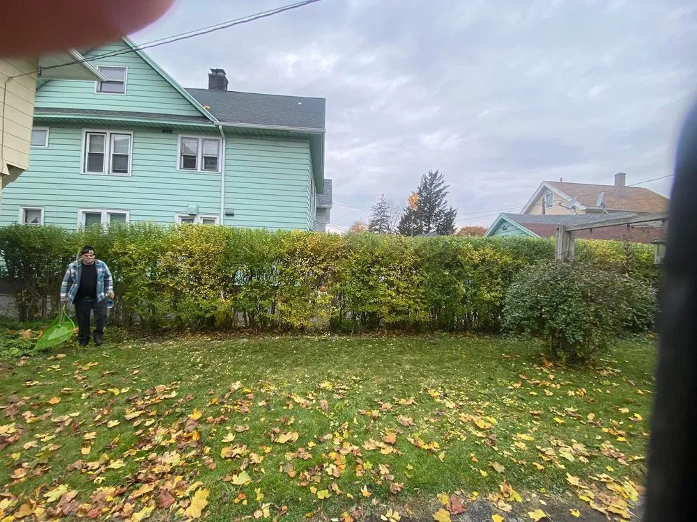 Custom lawn care service for residential properties across Rochester, NY - Girl Plower