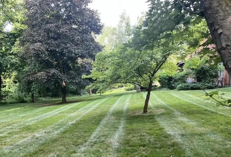 Custom lawn mowing service experts serving Rochester, NY - Girl Plower