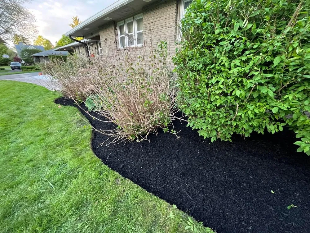 Custom yard cleanup service in Rochester, NY by Girl Plower