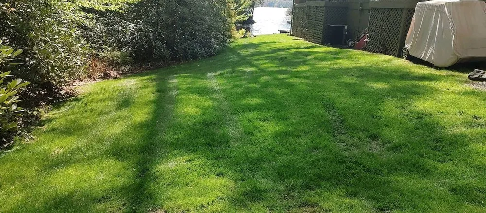 Local yard cleanup service in Lake Toxaway, NC - Girmann's