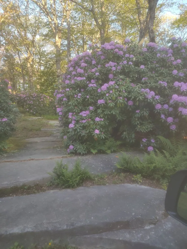 Professional landscaping services experts serving Lake Toxaway, NC - Girmann's