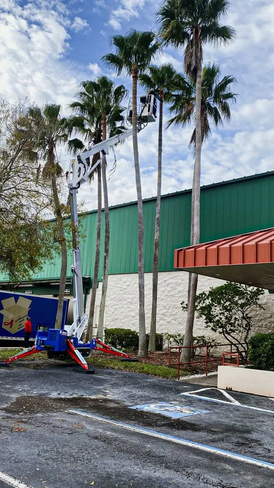 Trusted landscaping services experts serving Tampa Bay, FL - Giro tree service