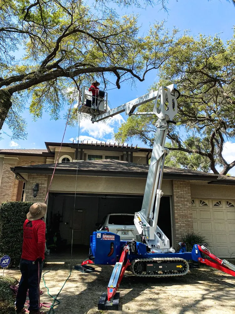 Top-rated lawn care service experts serving Tampa Bay, FL - Giro tree service
