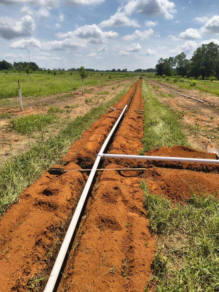 Trusted landscape installation for outdoor upgrades in Valdosta, GA by Giron Irrigation And More