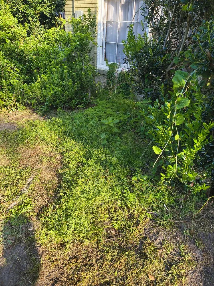 Top-rated residential landscaping in Valdosta, GA - Giron Irrigation And More